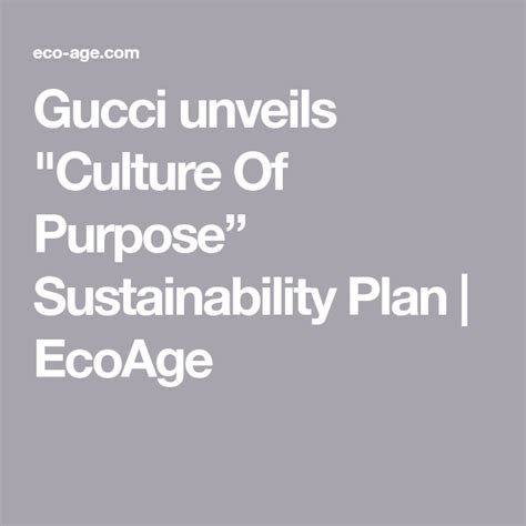 gucci sustainability plan.